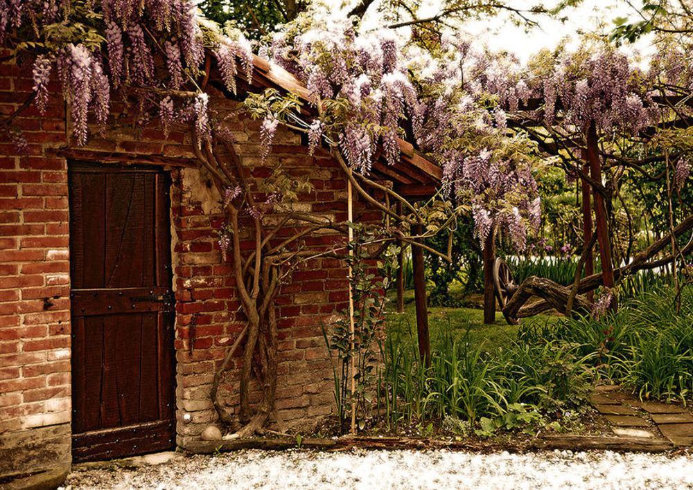 Agriturismo Il Gioco Dell'Oca Barolo Εξωτερικό φωτογραφία